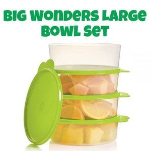 Tupperware Big Wonders Large Bowls (4)